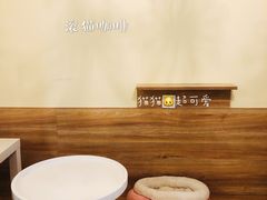 用餐区-滚猫咖啡·猫咖·猫友好撸猫(未来城店)