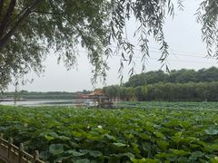 -南戴河国际娱乐中心