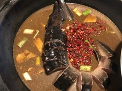-姥家大锅台水库渔家