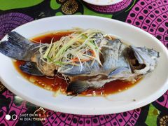 高原雪山鱼-小厨子私房菜·云南美食店