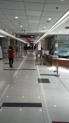 -复旦大学附属妇产科医院(杨浦院区)