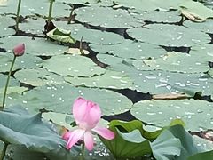 景观位-3W咖啡(国家软件园店)