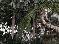 -上海辰山植物园
