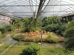 -无锡动物园·太湖欢乐园