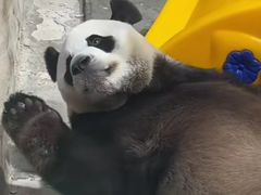 -栾川竹海野生动物园