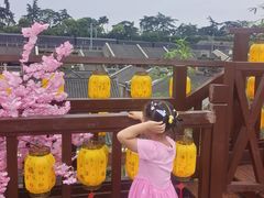-老宅藕香·湖北菜·非遗藕汤·武昌鱼(黄鹤楼景观店)