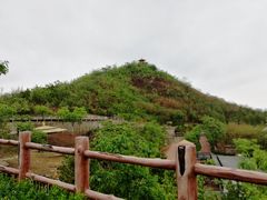 -石家庄市动物园