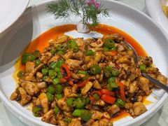 -丁老爷子苏香圆
