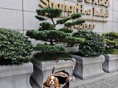 -扬州香格里拉·香宫中餐厅