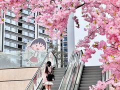 -首开·龙湖成都西宸天街
