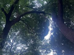 -静园(和平区)