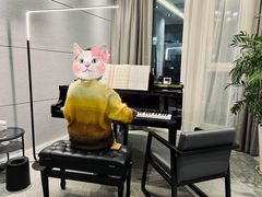 -Melody Mentor音乐私教馆(朝外·悠唐店)