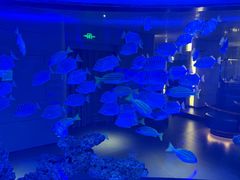 -上和臻品中国菜(花园街店)