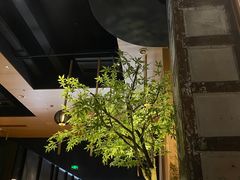 -锦城印象火锅(天府三街店)