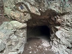 -上海佘山国家森林公园天马山园