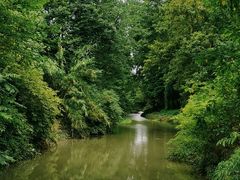 -桤木河湿地公园