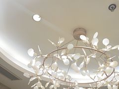 -阿庄新豫菜(南龙湖店)