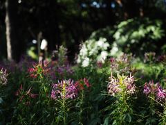 -苏州河梦清园环保主题公园