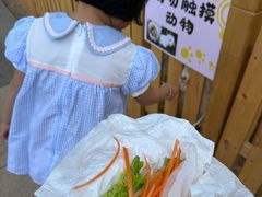 -三亚亚龙湾瑞吉度假酒店