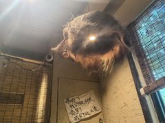 -泥糊破店小酒馆·团建聚餐(南京西路店)