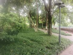 -成都市活水公园