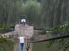 -东方巨龟苑景区