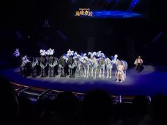 -珠海横琴长隆《卡卡虎奇遇记》