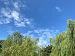 -上海虹桥迎宾馆