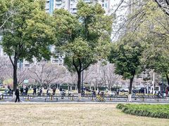 -西北湖绿化广场