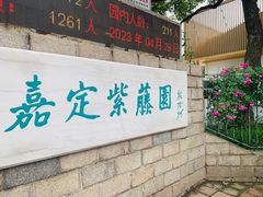 -嘉定紫藤园