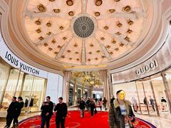 -拉斯维加斯永利酒店