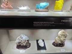 -陕西自然博物馆