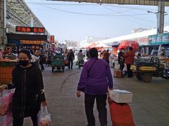 -重振华中蔬菜批发市场(重庆中路店)