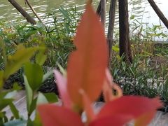 -南国桃园旅游度假区