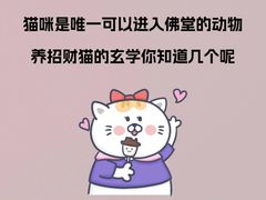-lincat·猫舍(广州店)