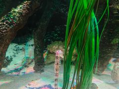 -沈阳海洋探索中心