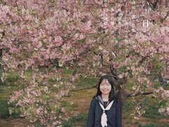 -天适樱花悠乐园