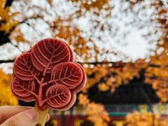 -香山公园