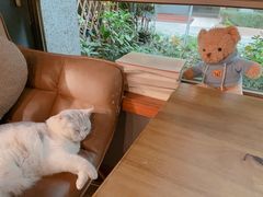 -咖法森林·咖啡  酒吧(天河店)