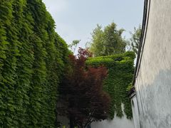 -王阳明故居