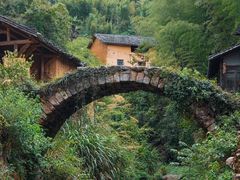 -杨家堂村