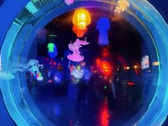 -太平洋海底世界