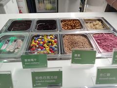 -Salud撒露欧洲冻酸奶(五道口购物中心店)