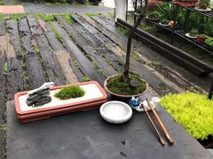 -天芳悦潭度假村温泉