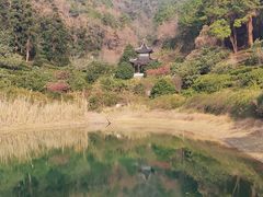-九龙潭景区
