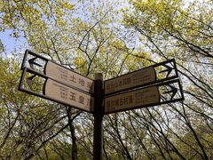 -云丘山景区