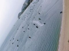 -巽寮湾