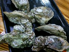 炊蚝-大富蚝乌东哥饭店·石锅鱼杂·柠檬鸭(革新路店)
