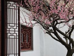 -沧浪亭