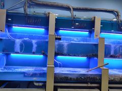 水产区-老虎滩大连海鲜烧烤(建邺云锦路总店)